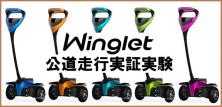 winglet公道走行実験